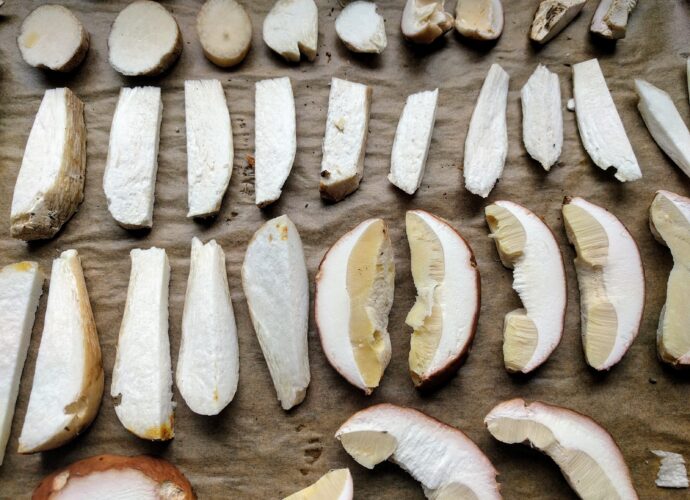 Pokrojone grzyby przygotowane do suszenia