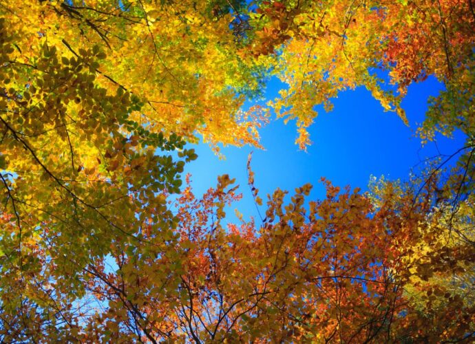 Złota polska jesień - gdzie warto pojechać