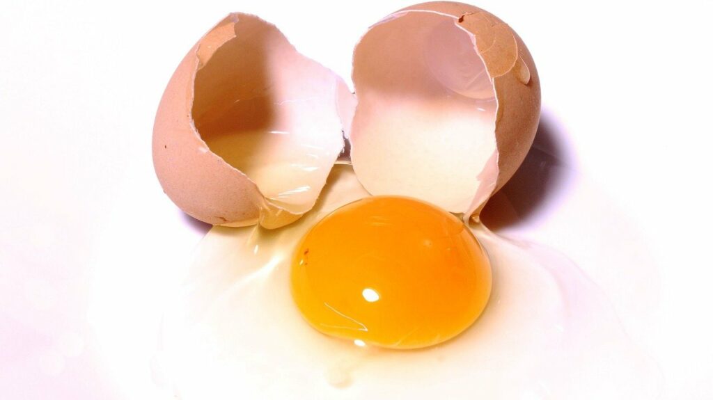 Jajko - surowe żółtko i białko