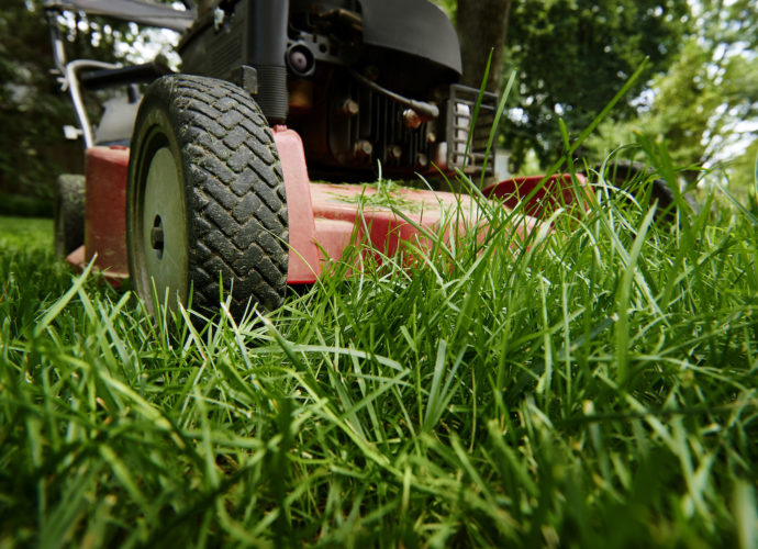 Jak dbać o trawnik latem