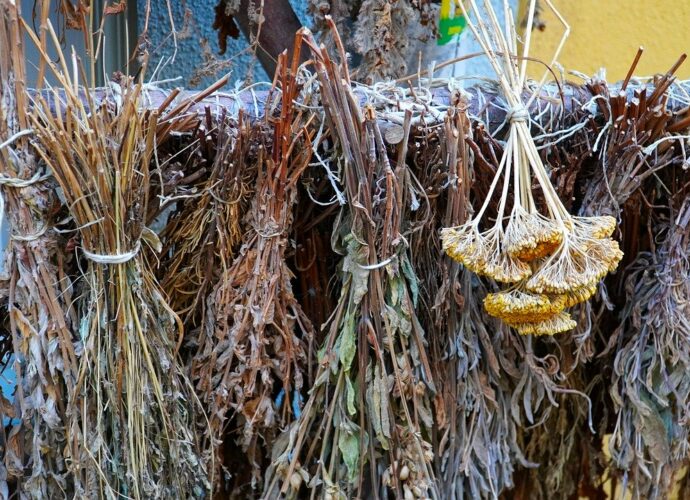 Pęki suszonych ziół