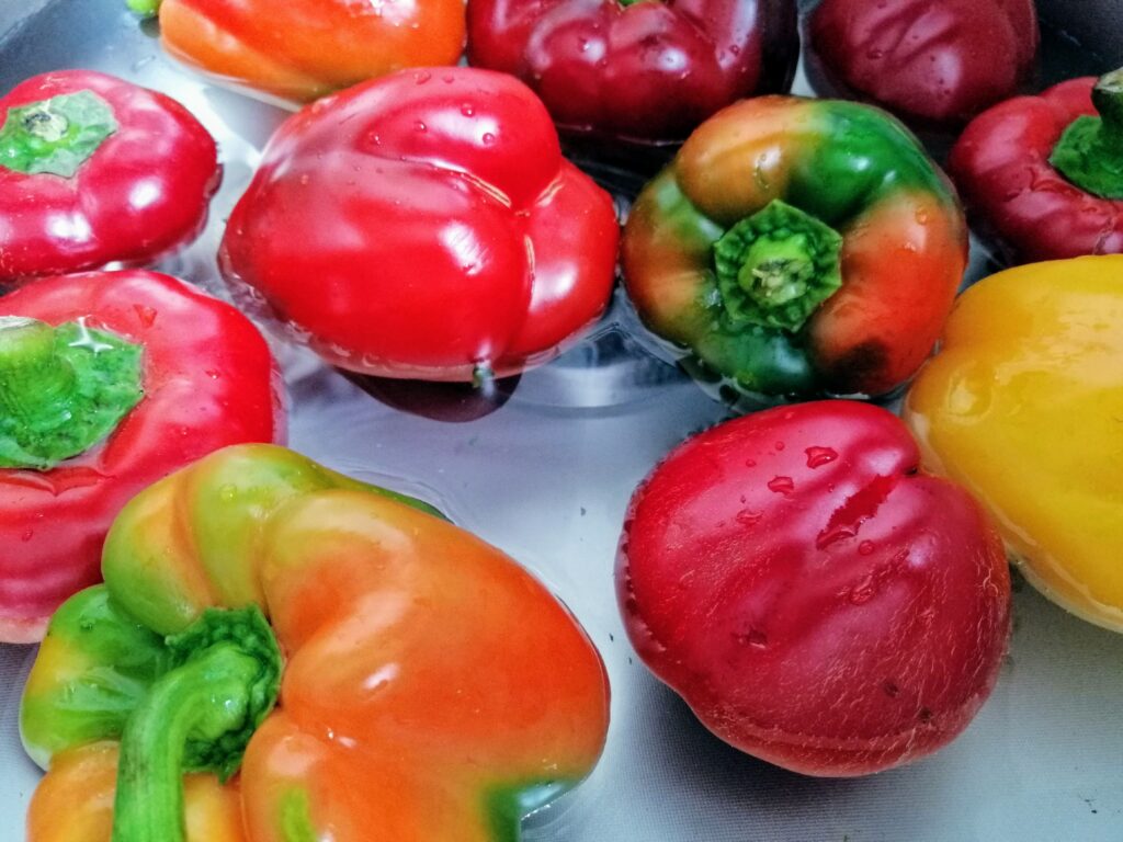 Papryka czerwona, zielona i pomarańczowa