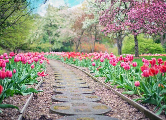 Ścieżka w ogrodzie wykonana z gruzu