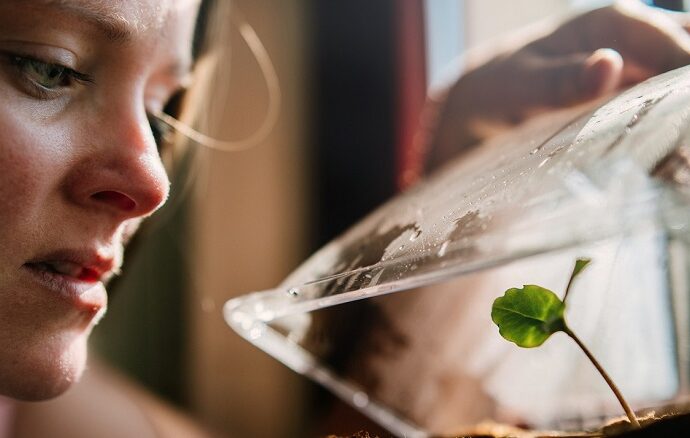 Domowa uprawa kiełków - jak wyhodować kiełki w domu