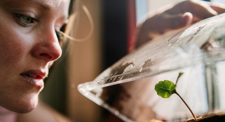 Domowa uprawa kiełków - jak wyhodować kiełki w domu