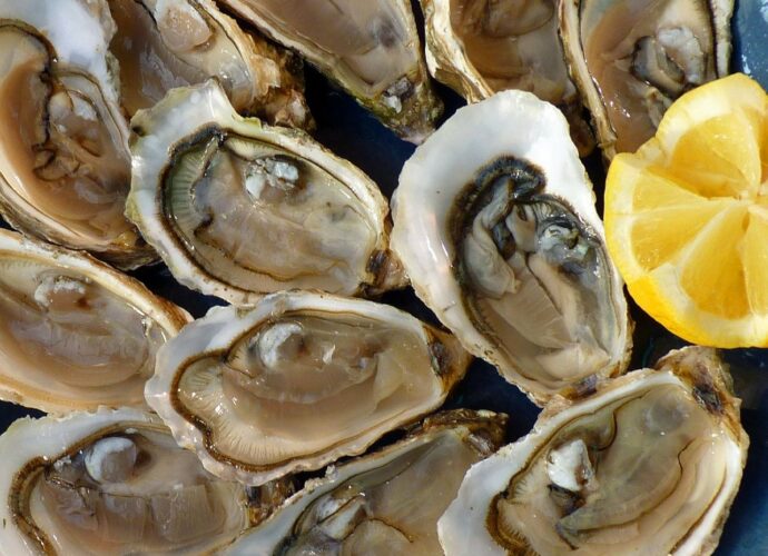 Świeże ostrygi - otwarte muszle ostryg z cytryną