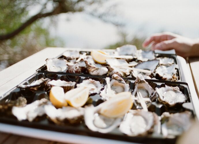 Świeże ostrygi na tacy - zdrowie z oceanu