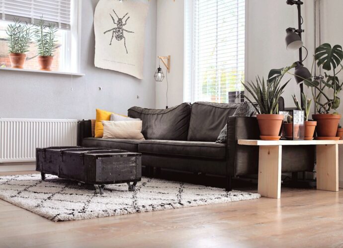 Czyste mieszkanie po dezynfekcji