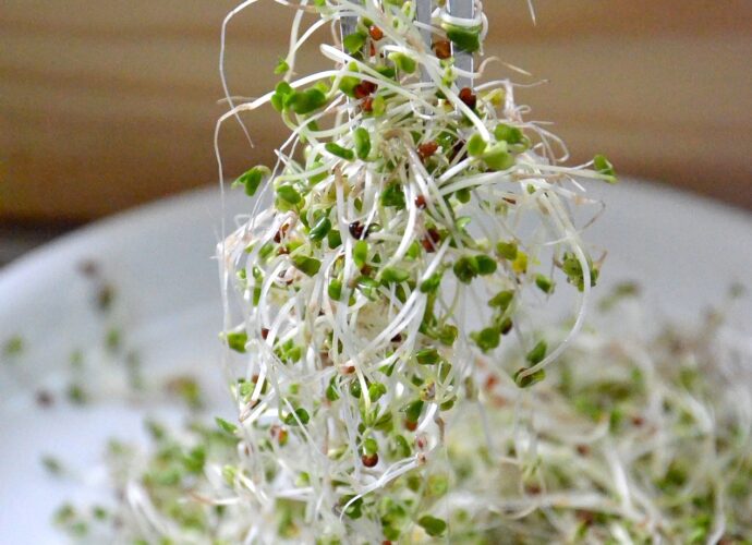 Kiełki brokułów na talerzu