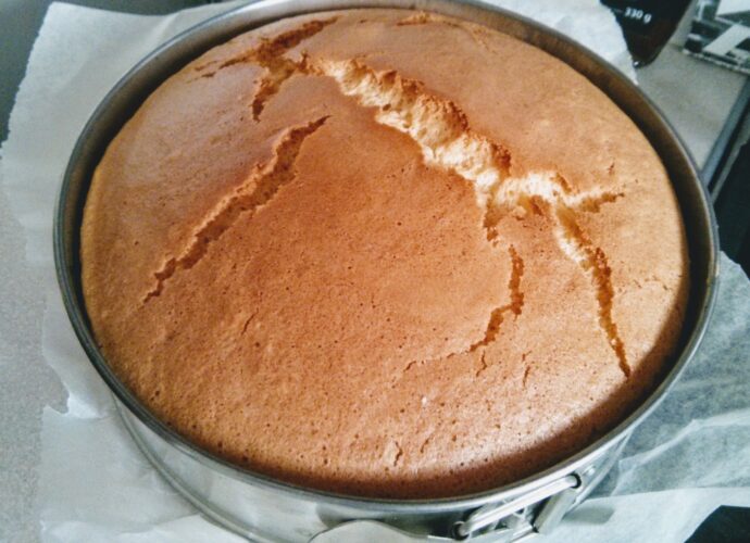 Tradycyjny biszkopt bez proszku do pieczenia upieczony w tortownicy