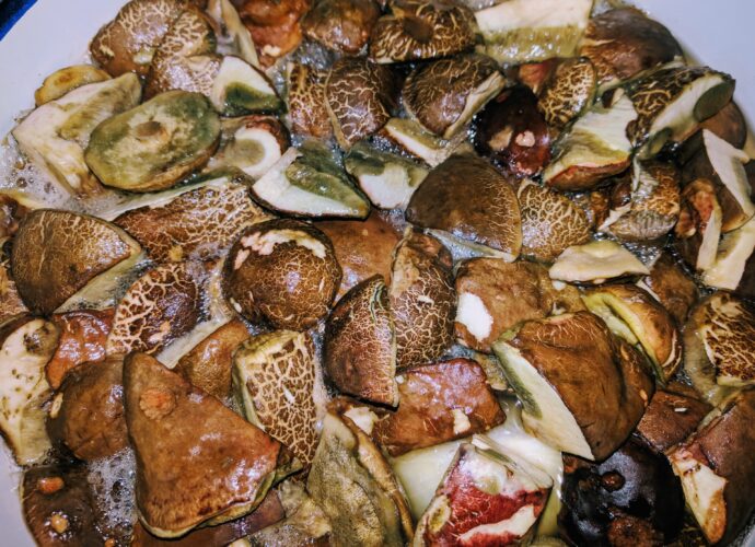 Grzyby gotujące się w rondlu przed włożeniem do słoików - wekowanie grzybów