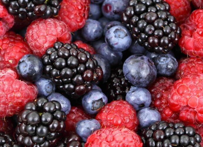 Owoce jagodowe - maliny, jeżyny i borówki - źródło odporności