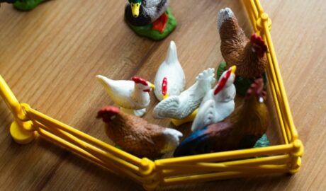 Zabawki rolnicze dla dzieci - kury i koguty w zagrodzie