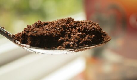 Jak wykorzystać fusy z kawy w ogrodzie?