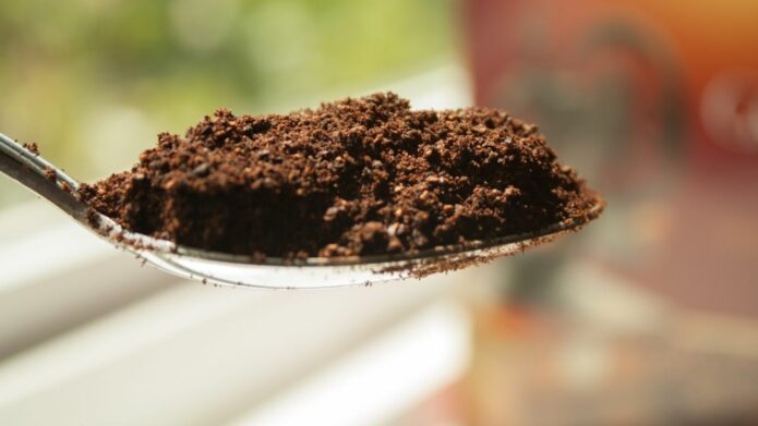 Jak wykorzystać fusy z kawy w ogrodzie?