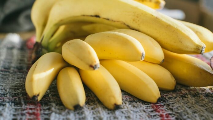 Dojrzałe banany gotowe do przechowywania w temperaturze pokojowej