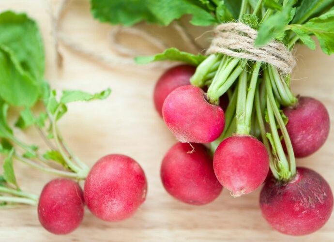 Jak przechowywać rzodkiewki, żeby zachowały świeżość na dłużej