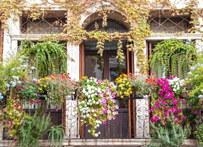 Słoneczny balkon - jakie rośliny posadzić od południa