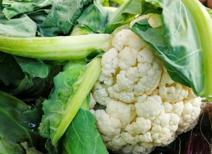 Kalafior z liśćmi - jak wykorzystać liście kalafiora w kuchni
