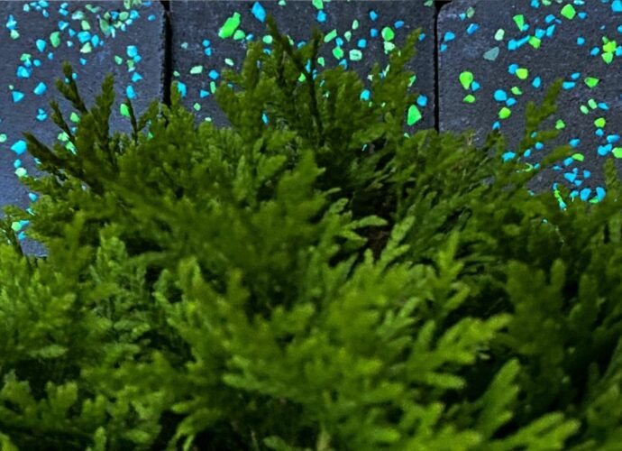 Świecąca kostka brukowa na cmentarz