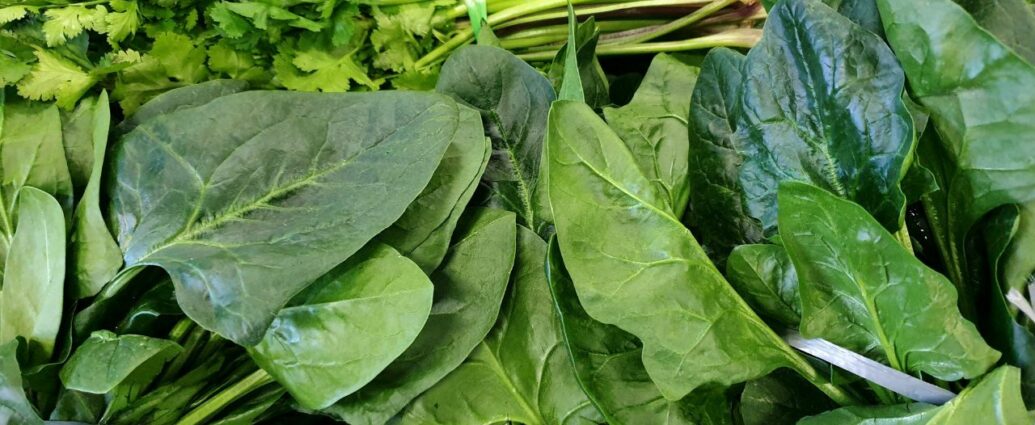 Zielone warzywa liściaste - obowiązkowy element zdrowej diety