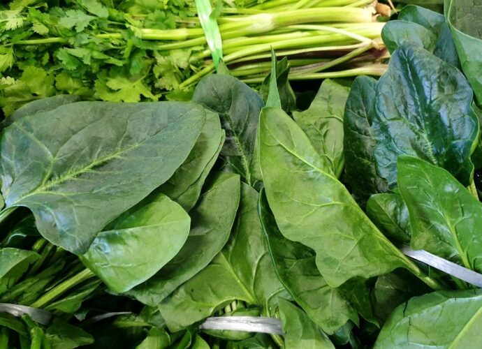 Zielone warzywa liściaste - obowiązkowy element zdrowej diety