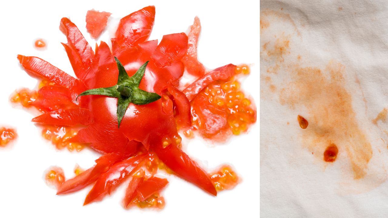 Plamy ze świeżych pomidorów są dość łatwe do usunięcia przy zastosowaniu odpowiednich sposobów