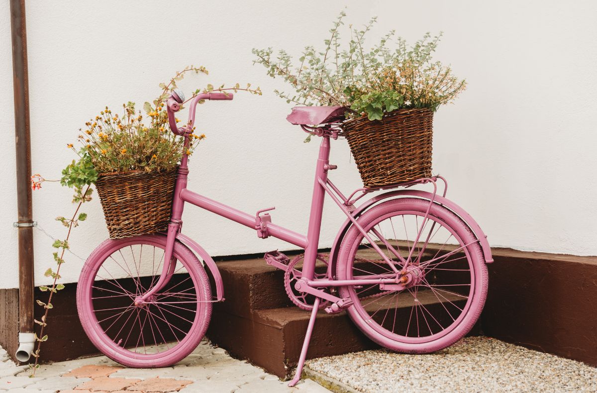 Różowy rower z koszami kwiatów