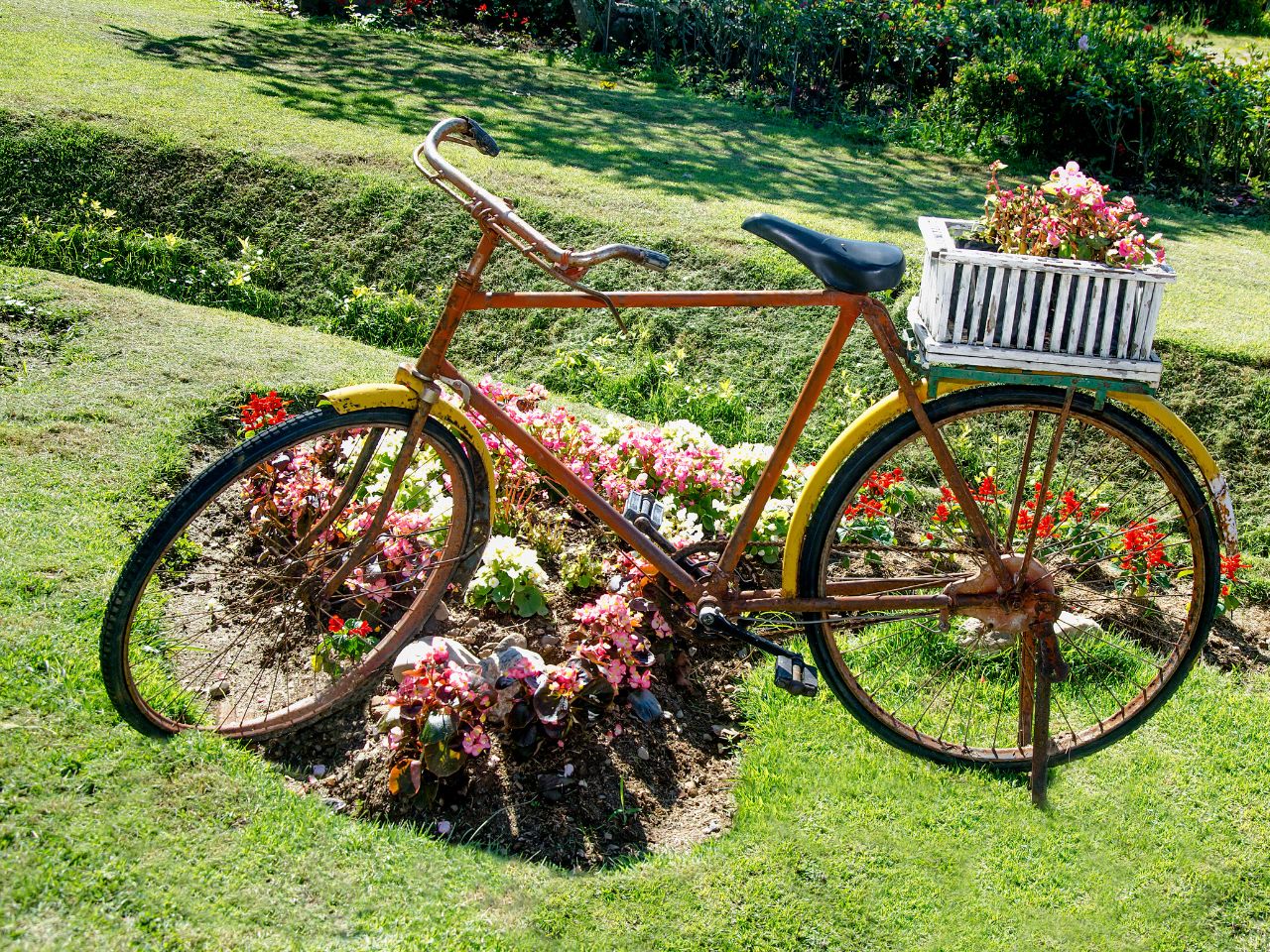Aranżacja ogrodowa z rowerem jako kwietnikiem