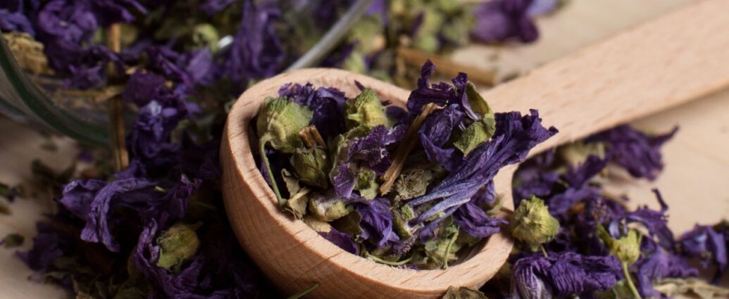 Suszone kwiaty czarnej malwy - idealne do przygotowania herbatki z malwy