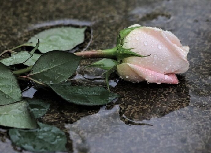Jak uzyskać zadośćuczynienie za śmierć bliskiej osoby