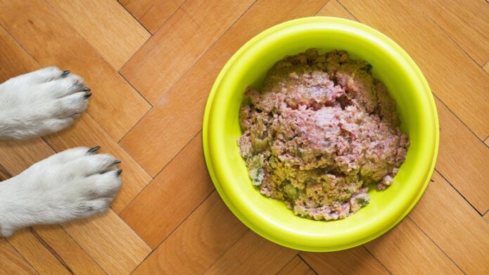 Psie łapy przy misce jedzenie. Co to jest dieta BARF?