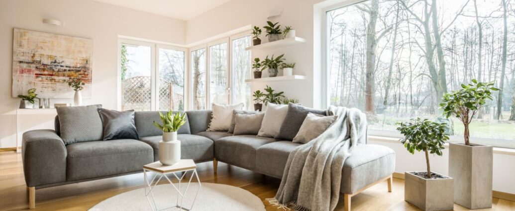 Jasny, dobrze oświetlony salon z dużymi oknami