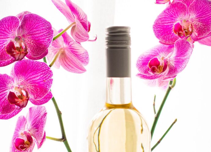 Wino bezalkoholowe ze storczykami