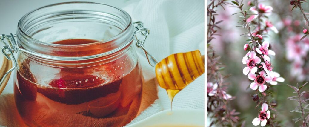 Miód manuka w słoiku oraz kwiaty manuka
