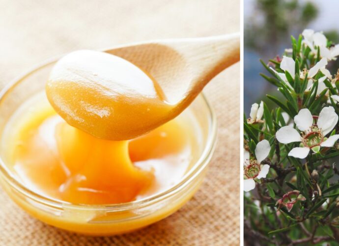 Miód manuka - źródło metyloglioksalu