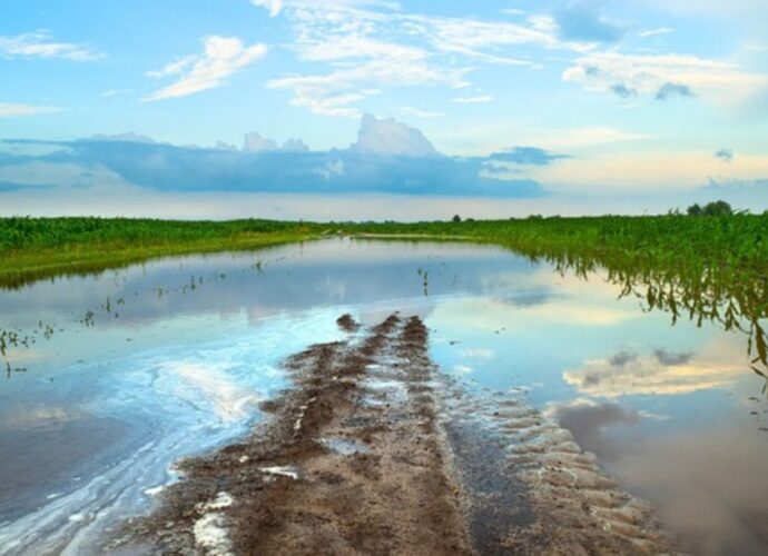 Jaka pompa do wody z piaskiem?