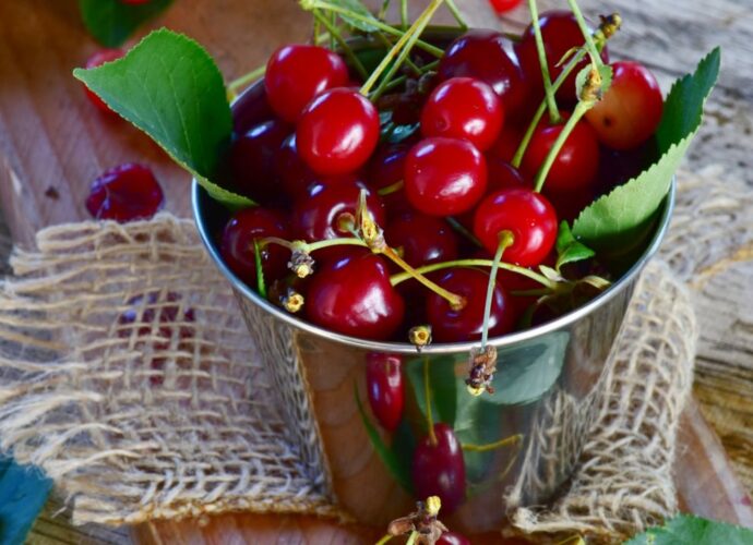 Świeże wiśnie w metalowym wiaderku na jutowym worku