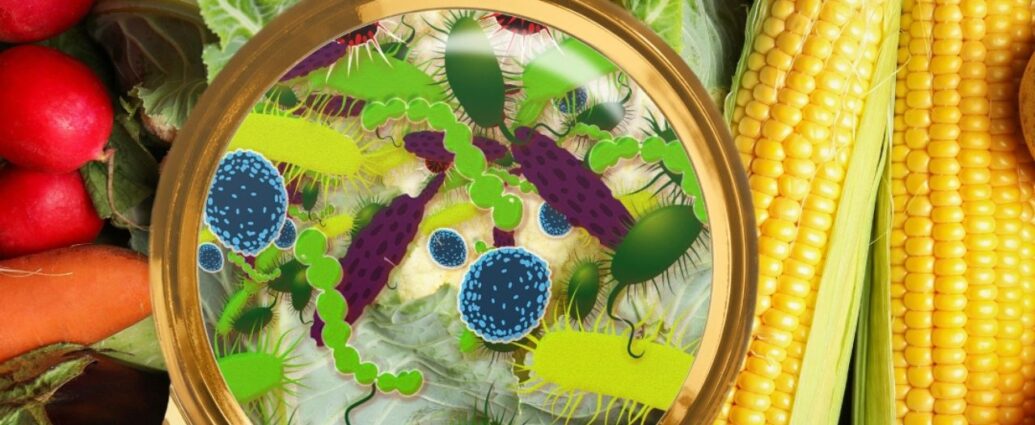 Mikroorganizmy, które mogą orzwijać się na nieświeżej żywności i prowadzić do zatrucia pokarmowego