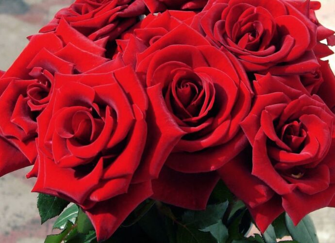 Bukiet czerwonych róż symbolizuje namiętne uczucie