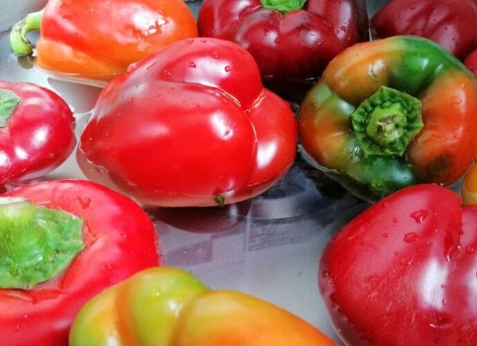 Przed przygotowaniem przetworów, paprykę musimy dokładnie wypłukać