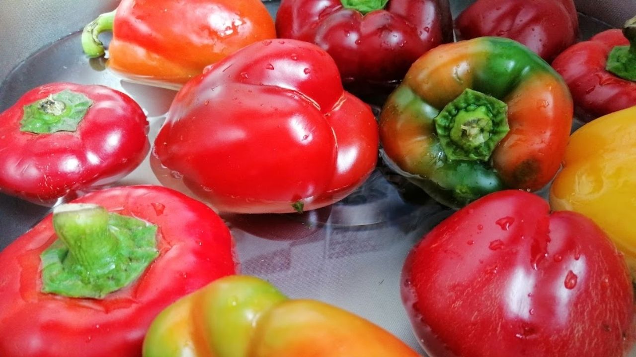 Przed przygotowaniem przetworów, paprykę musimy dokładnie wypłukać