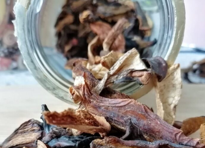 Suszone grzyby wysypane ze szklanego słoika