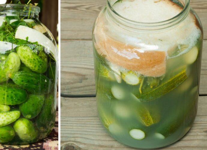 Czy ogórki kiszone mogą się zepsuć?