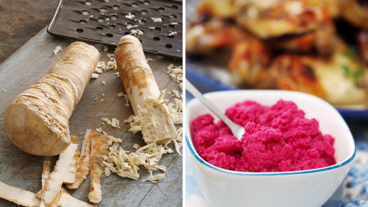 Korzeń chrzanu i ćwikla z chrzanem w miseczce