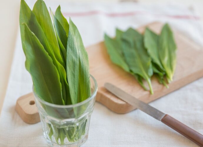 Przechowywanie czosnku niedźwiedziego - liście w szklance z wodą