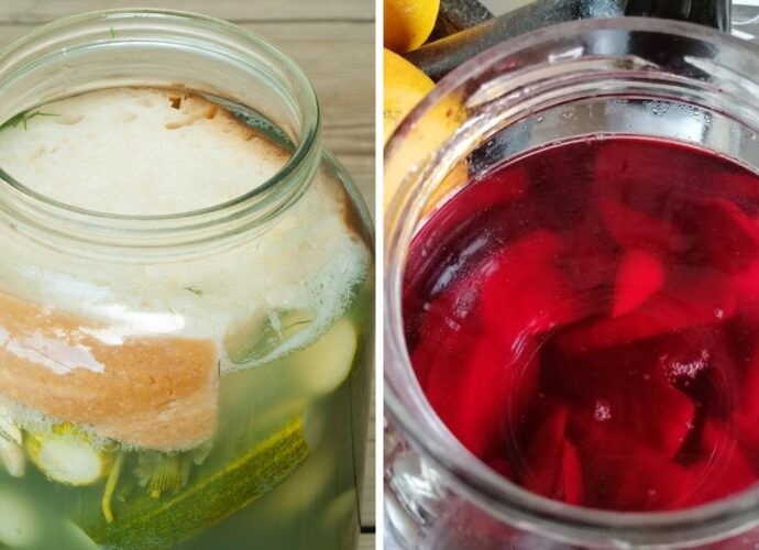 Kiszone ogórki i buraki w słojach - w wyniku kiszenia powstaje kożuch fermentacyjny