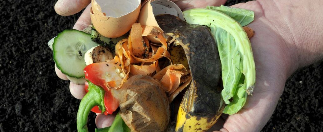 Domowe bio odpady. Które nadają się do kompostowania?