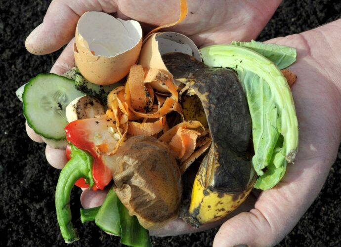 Domowe bio odpady. Które nadają się do kompostowania?