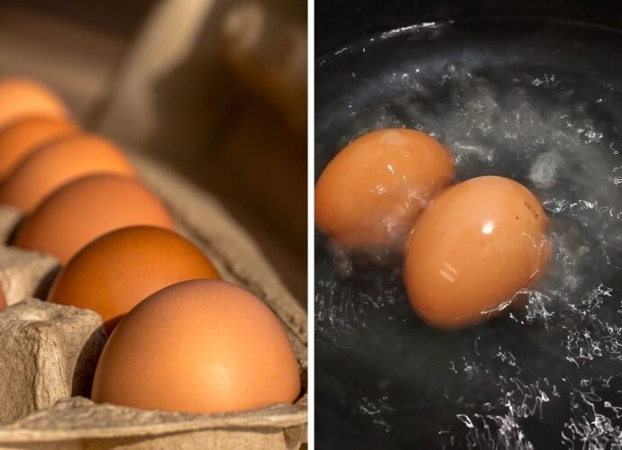 Jak gotować jajka na twardo, żeby nie pękały w czasie gotowania
